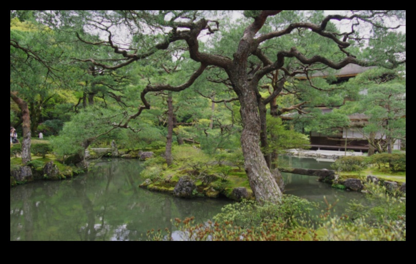 Armonie în natură: secrete de grădinărit japonez